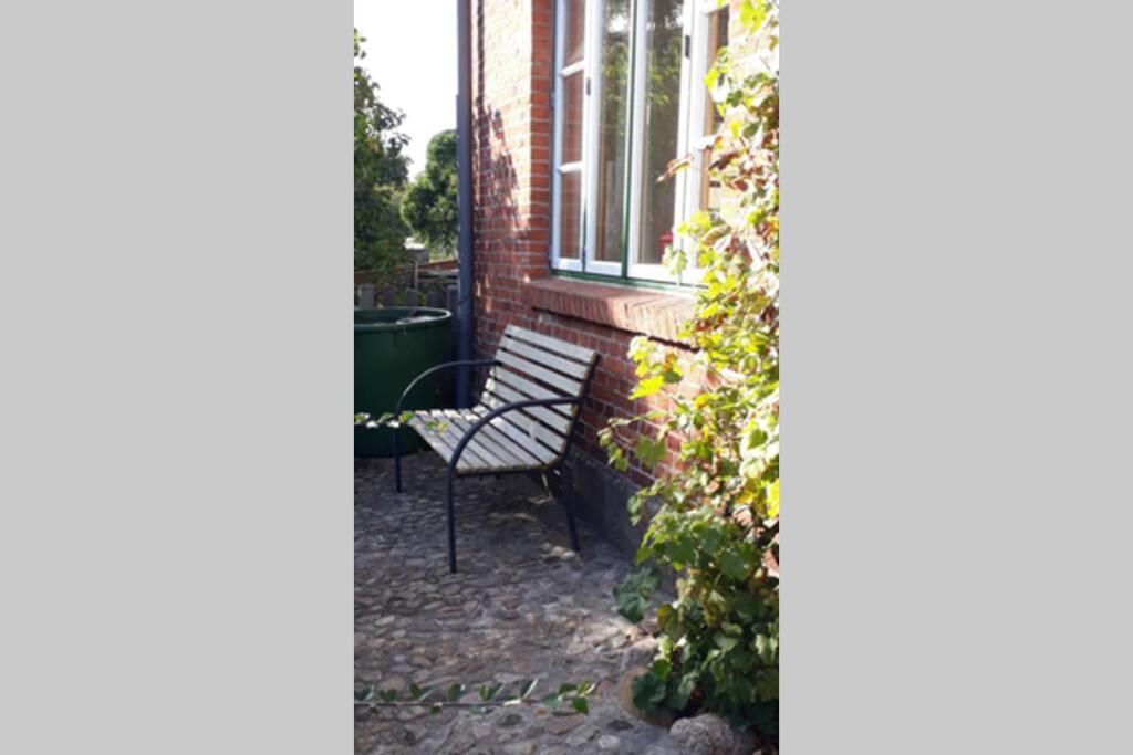 Ferienwohnung In Seenaehe Borgdorf-Seedorf Exterior foto